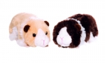 Meerschweinchen 2 Farben 17 cm